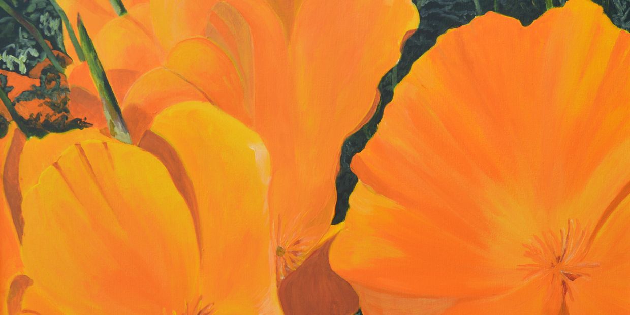 California Poppies painting by Ann Meyer