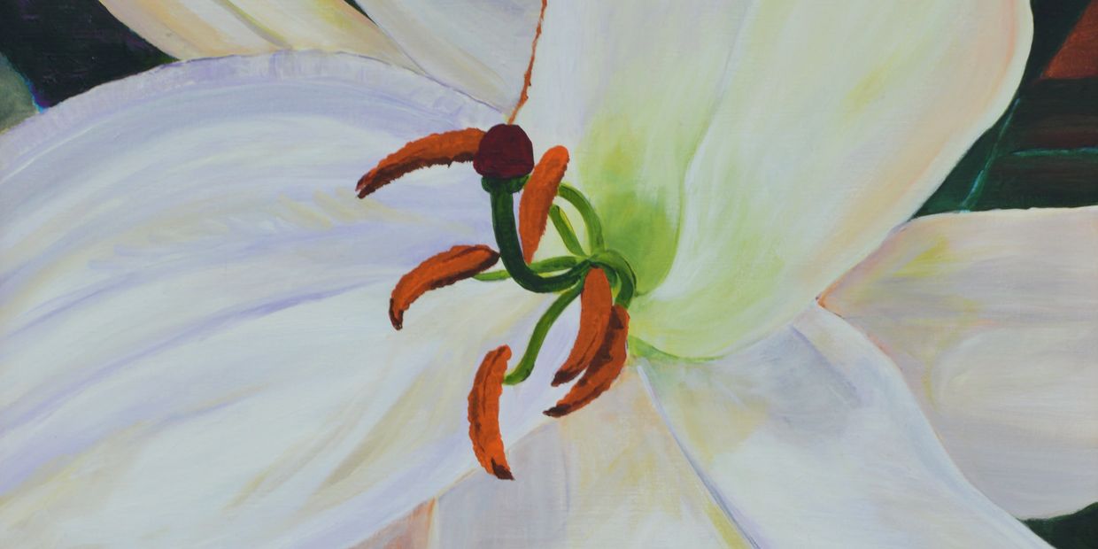 Casablanca Lily painting by Ann Meyer