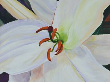 Casablanca Lily painting by Ann Meyer