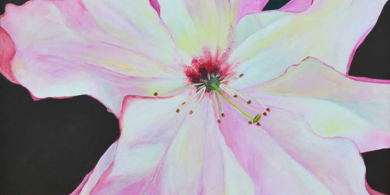 Pink Lily painting by Ann Meyer