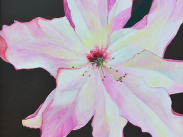 Pink Lily painting by Ann Meyer