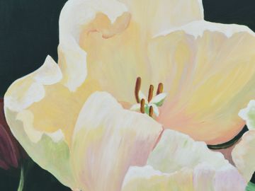 White Tulip painting by Ann Meyer