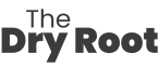 The Dry Root