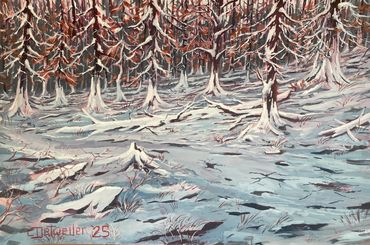 Snow-covered forest floor with tall trees in autumn.