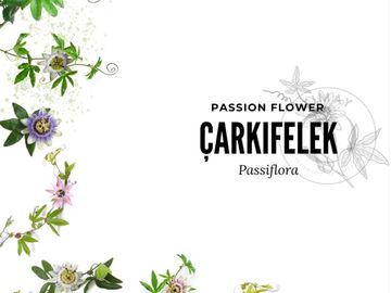 passiflora ekstraktı