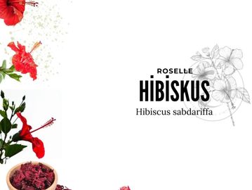 hibiskus ekstraktı