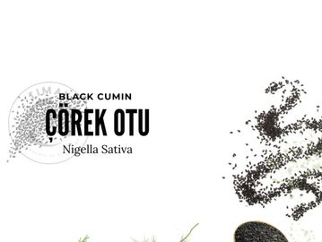 çörek otu ekstraktı