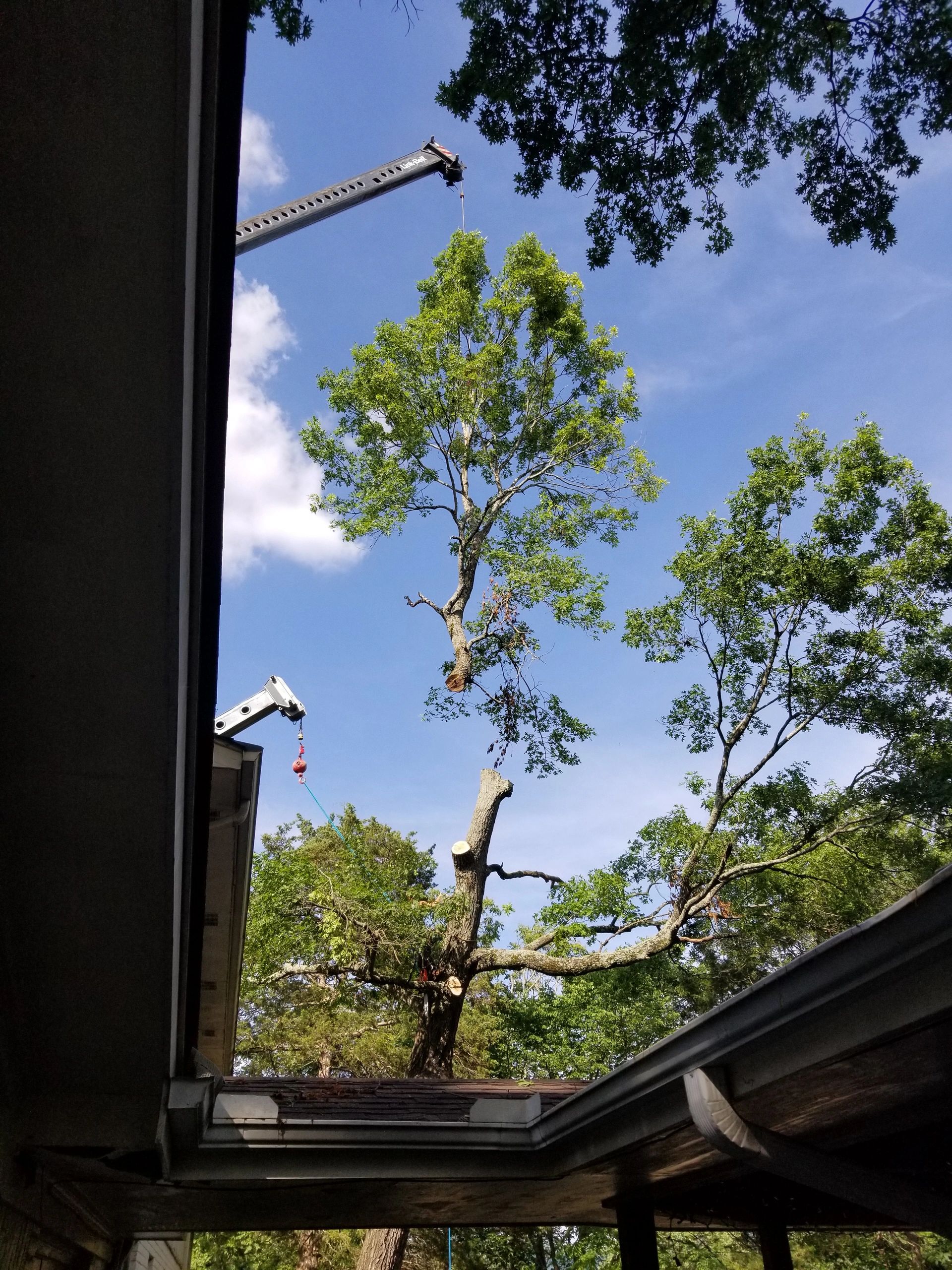Tree Service in Huntsville Donald ster Tree Service