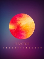 IT Factor Cyber Security Consulting Firm 