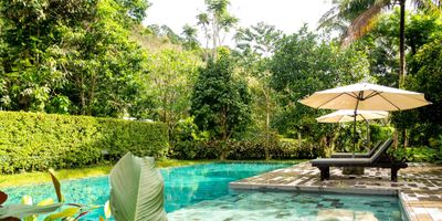 Relaxing poolside lounge chairs under umbrellas surrounded by lush greenery.