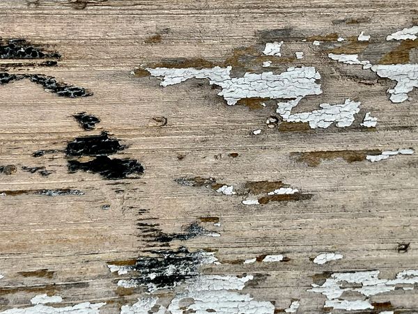 Close-up of weathered wood with peeling white and black paint.