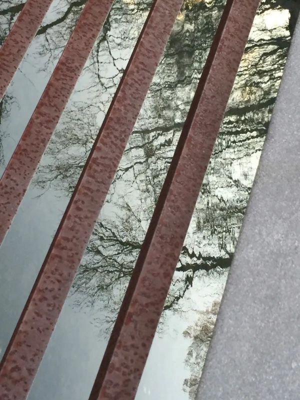 Reflection of tree branches on glass with rusty iron bars.