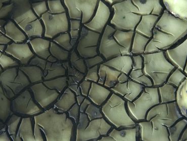 Abstract sculpture with cracked surface.