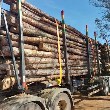 Logging forestry truck with automatic load binders