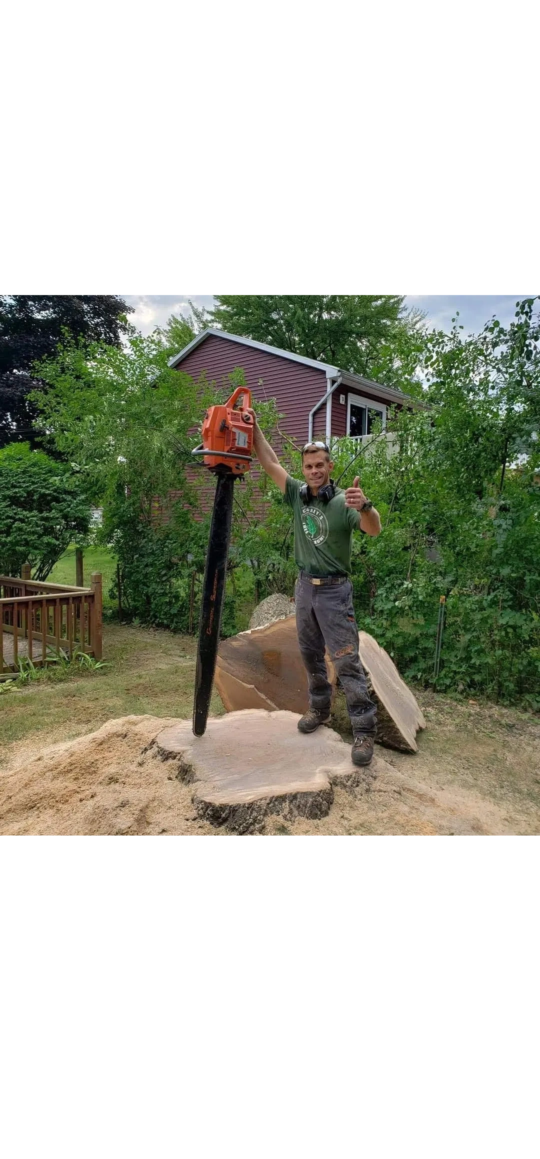 Expert Tree Service – Fairport, Pittsford & Penfield | Cooney's Tree