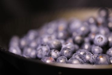 Blueberries