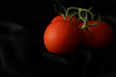 Tomato