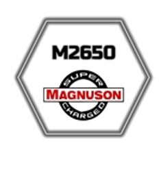 Magnuson intake catalog
