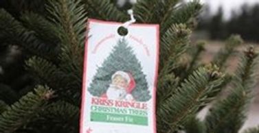 Christmas tree farm tag