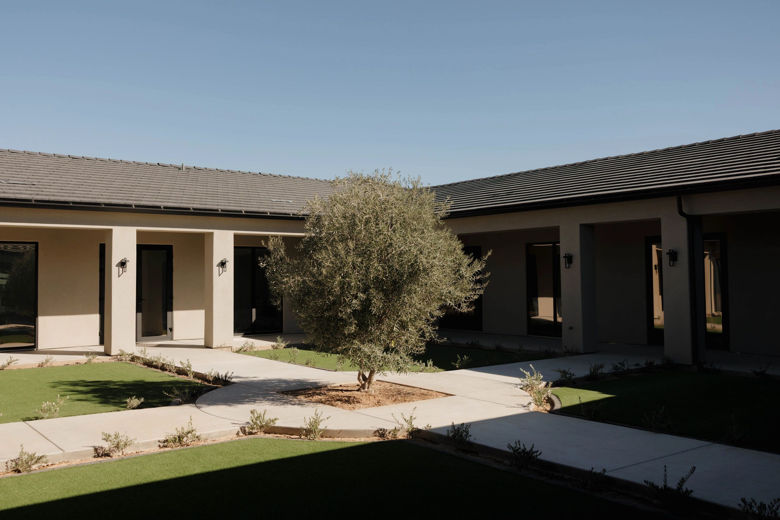 Modern courtyard with a central tree and minimalist architecture.