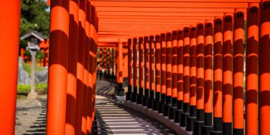 A pathway lined with vibrant red torii gates casting shadows.