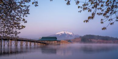 A serene lake scene with a wooden pier, framed by blossoming branches and a snow-capped mountain in the background.