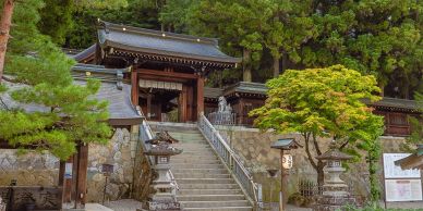 Traditional Japanese temple gate with stone steps and lanterns.