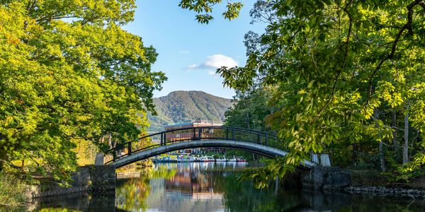 A serene arched bridge over a calm waterway surrounded by lush green trees.