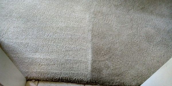 Professional Fiber Reclamation and Soil Removal - McHenry to Arlington Hts Carpet Cleaning Authority