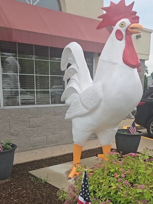Quality First defines Eggville Café on Northwest Highway in Cary, IL