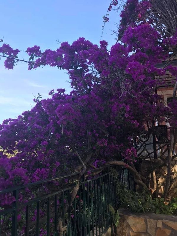 The Monastery of Paleokastritsa in Corfu