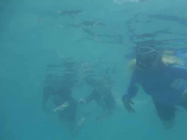 Snorkeling Eleuthra Island, Bahamas