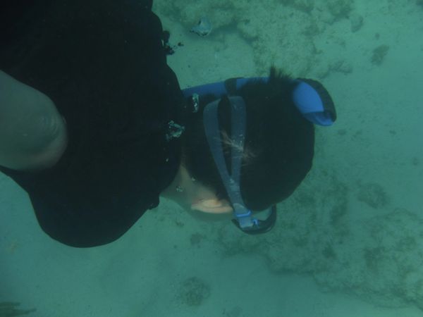 Snorkeling Eleuthra Island, Bahamas