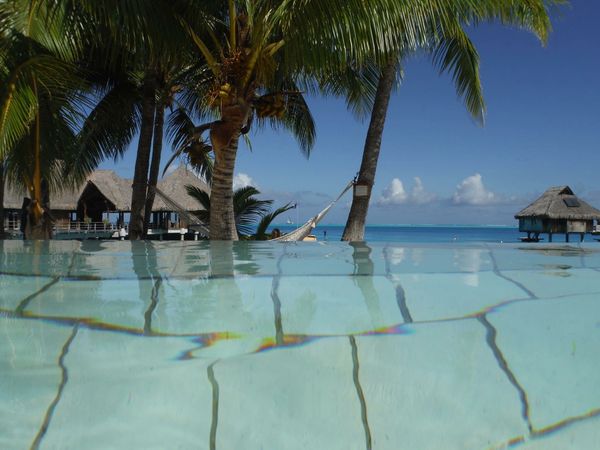 Infinity Pool.
Bora Bora Hilton Nui.