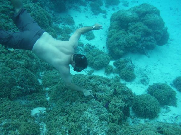 Snorkel time!
Bora Bora, Tahiti