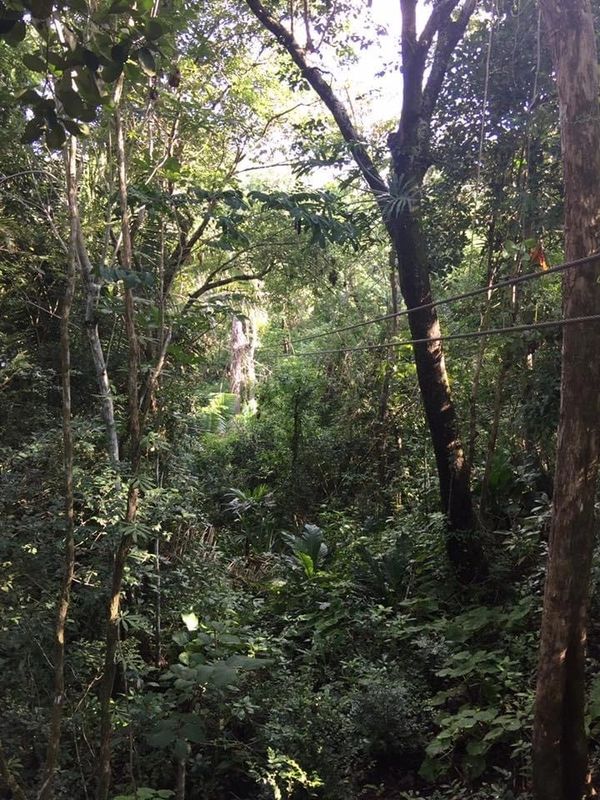 Zip Lining - Belize