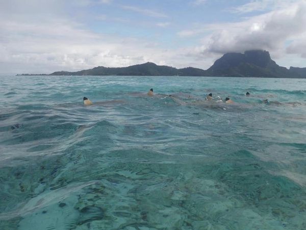 Ready to swim with sharks and rays.
Bora Bora, Tahiti