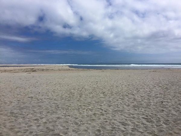 Pakira Beach, New Zealand