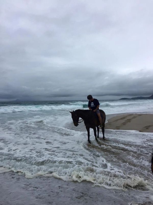 Pakira Beach, New Zealand