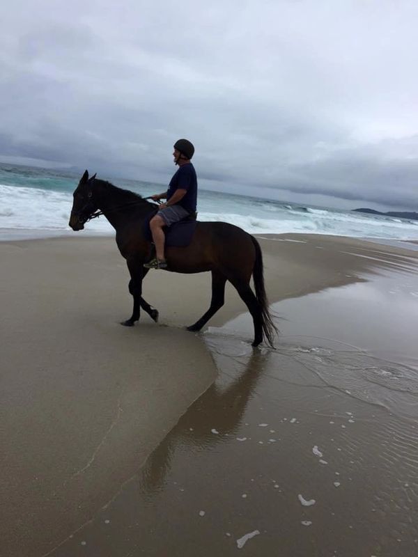 Pakira Beach, New Zealand