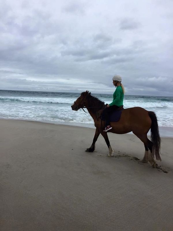 Pakira Beach, New Zealand