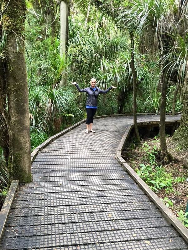 Kauri Forest, New Zealand