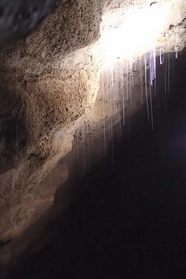 Waitomo Glowworm Caves, New Zealand