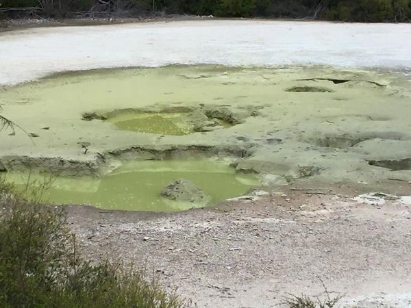 Waiotapu Thermal Springs Wonderland, Rotorua, New Zealand