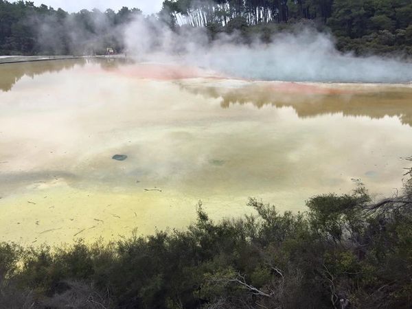 Waiotapu Thermal Springs Wonderland, Rotorua, New Zealand