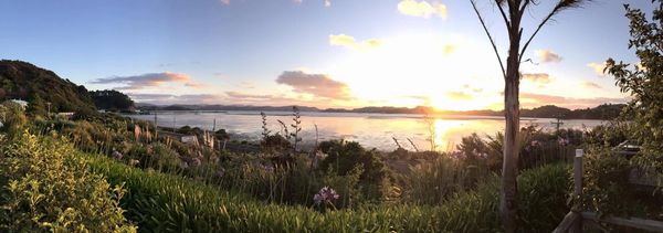 Coromandel, New Zealand