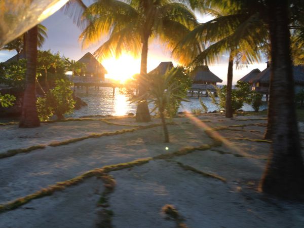 Sunset walk
Bora Bora Hilton Nui