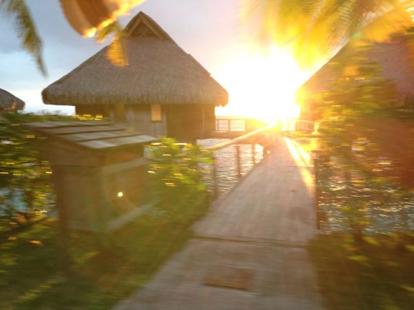 Sunset walk
Bora Bora Hilton Nui