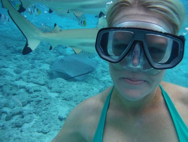 Ready to swim with sharks and rays.
Bora Bora, Tahiti