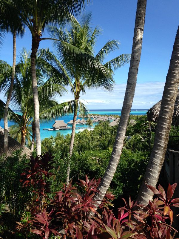 Million Dollar View
Bora Bora Hilton Nui